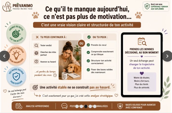 Analyse stratégique Pet-sitter – Audit complet de ton activité | 1 h 20
