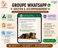Les lumières de Mickey – Groupe d’accompagnement WhatsApp sur l’épilepsie canine