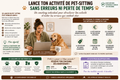 Coaching individuel Pet-sitter – Structure & développe ton activité | 45 min à 1 h
