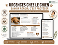 Urgences Canines 360° – Le guide pour reconnaître les signes d’alerte et mieux réagir