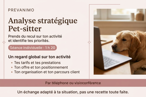 Analyse stratégique Pet-sitter, palette rose et marron