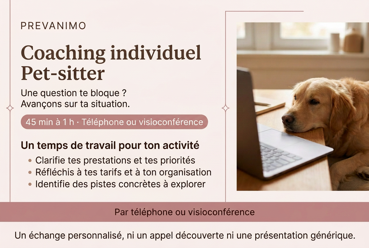 Présentation du coaching individuel Pet-sitter