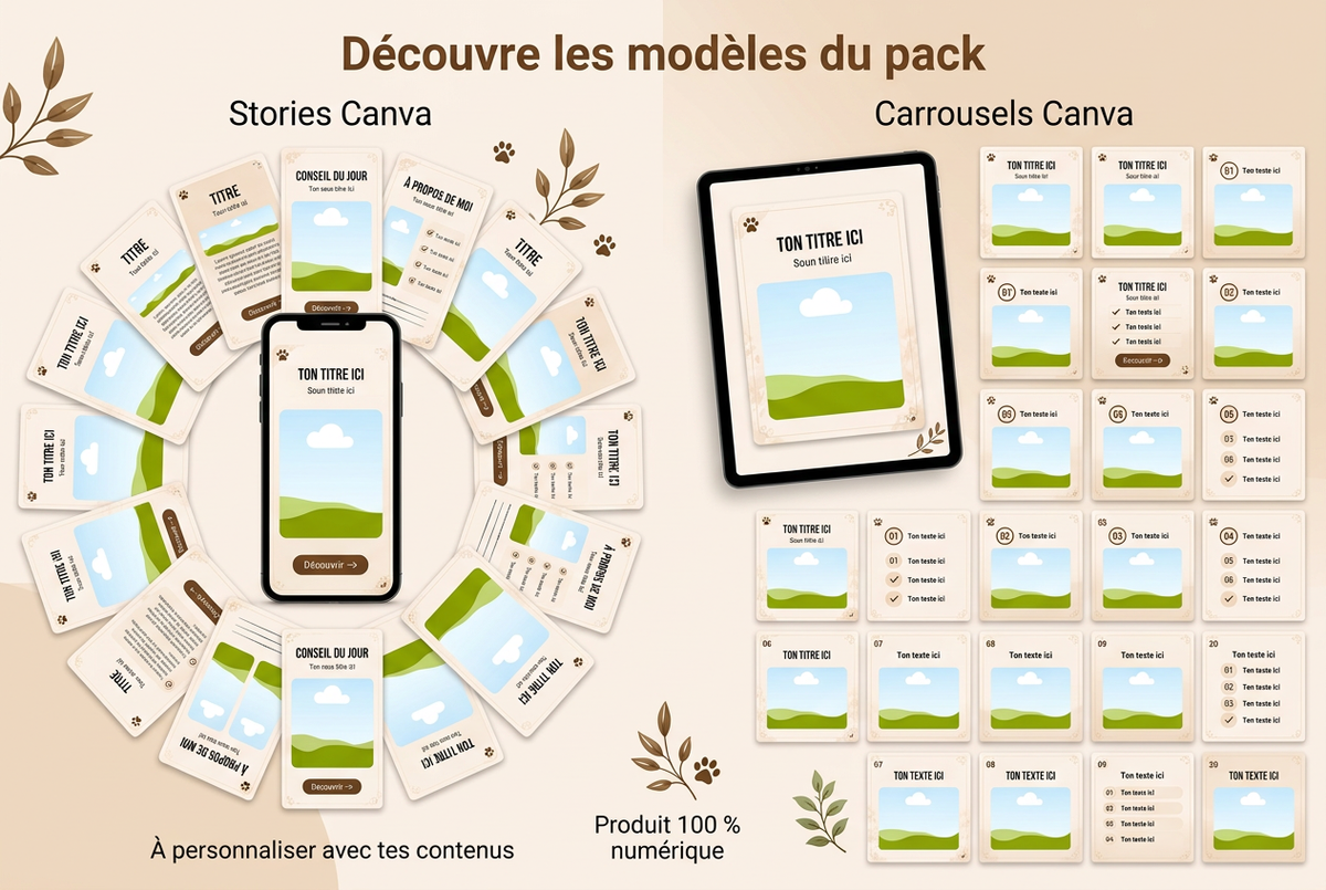 Stories et carrousels déployés